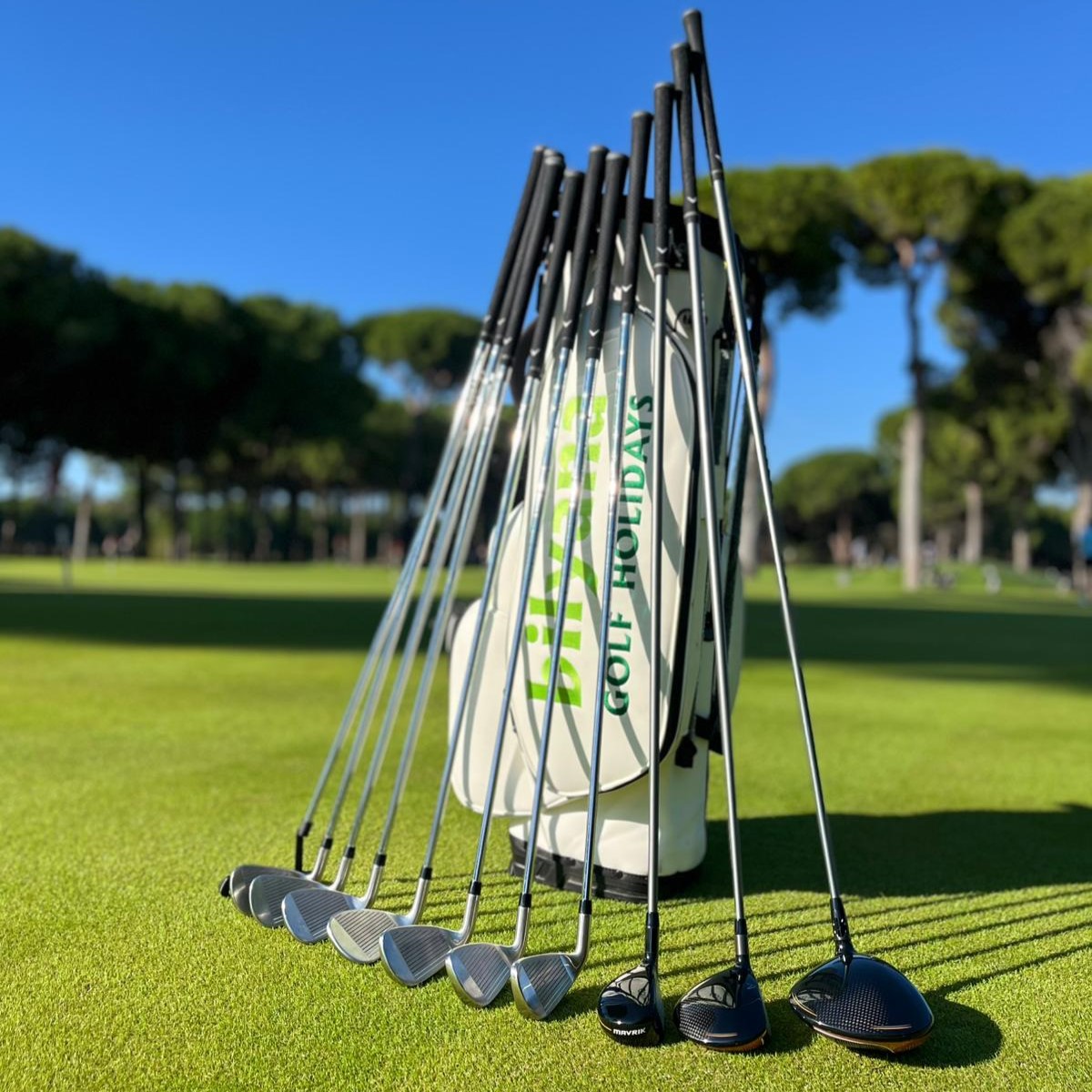 https://webmail.bilyanagolf.com/files/imaj/clubhire1.jpg